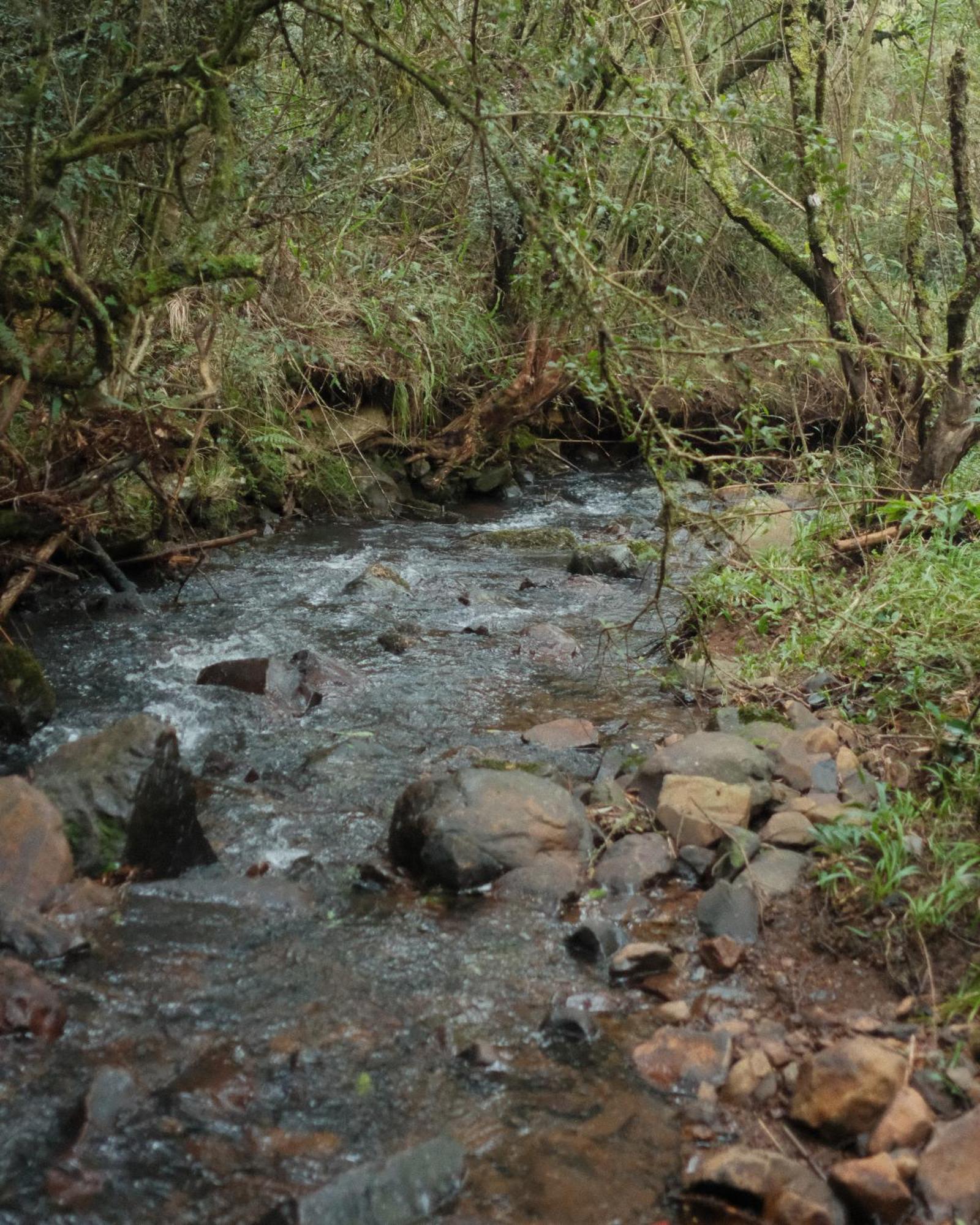 Parque Nacional Ecoresort 우루비시 외부 사진